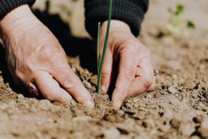 Faceless woman working with soil in garden